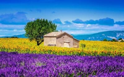 Séjour insolite : les plus beaux glampings du Var et de Provence