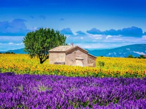 Glamping en provence